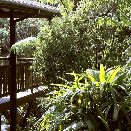 Lotus Garden Cottages-2
